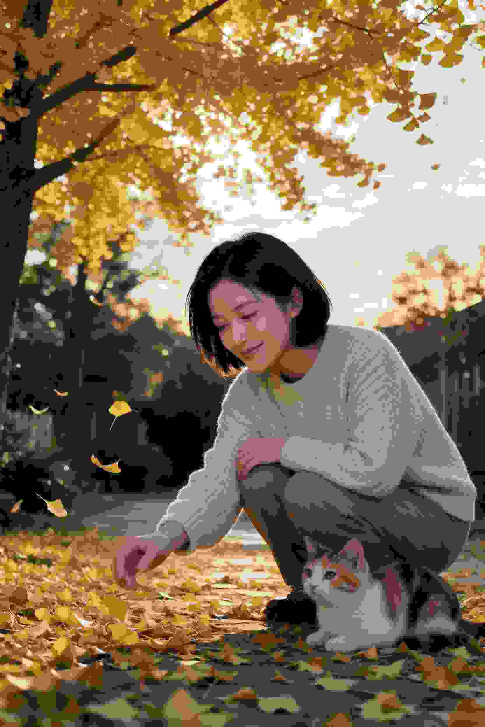 二次元穿越记